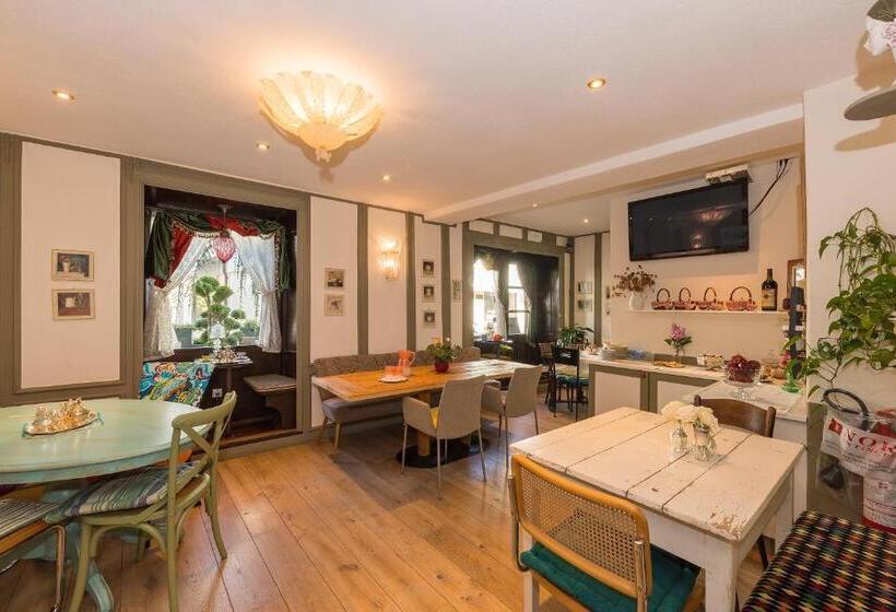 호텔 Zenana Boutique