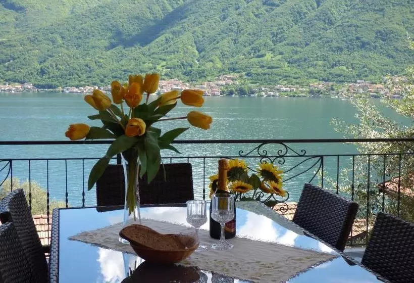 Isola Vista   Terrazzo