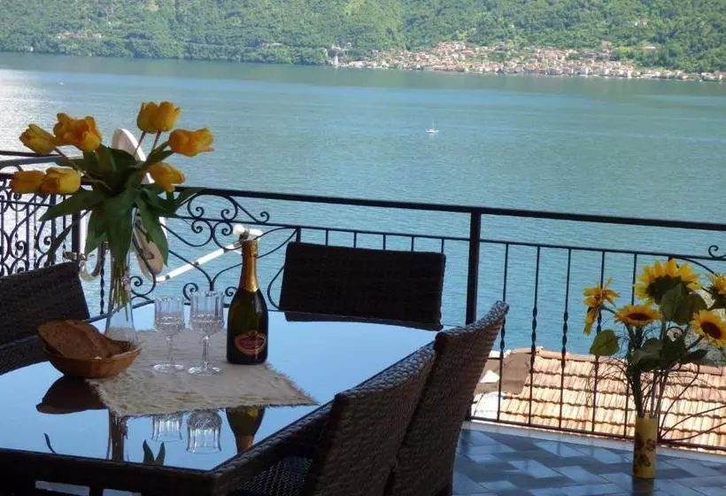 Isola Vista   Terrazzo