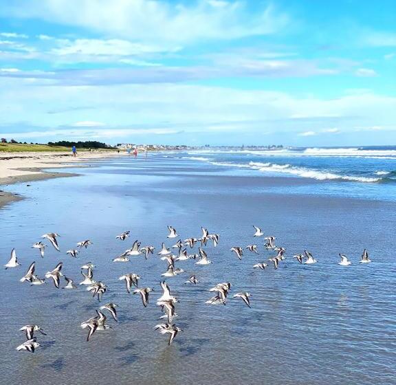 فندق على الطريق Ocean Acres Ogunquit