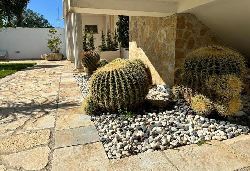 مبيت وإفطار Adagio Salentino