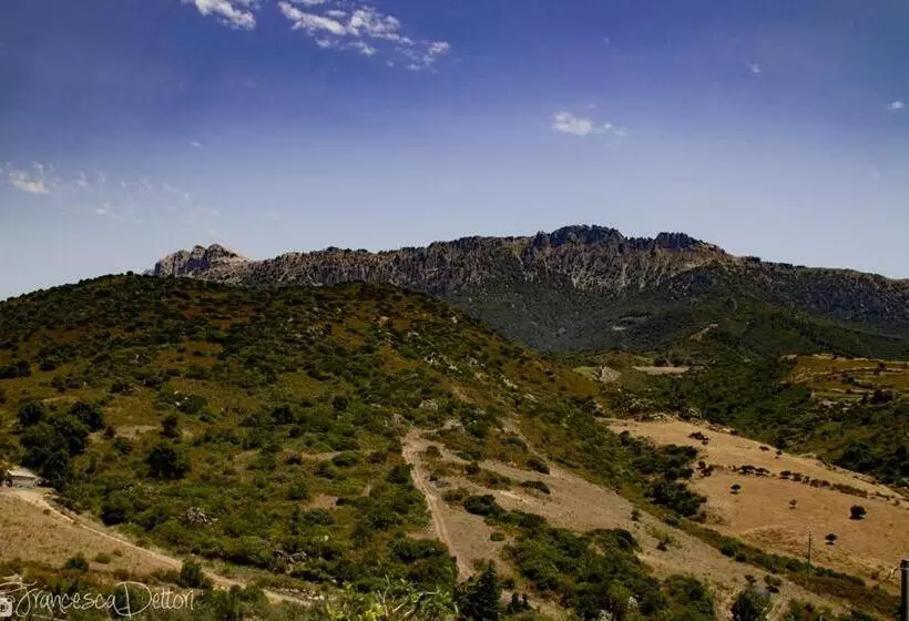 ベッドアンドブレックファースト Affittcamere Jannas