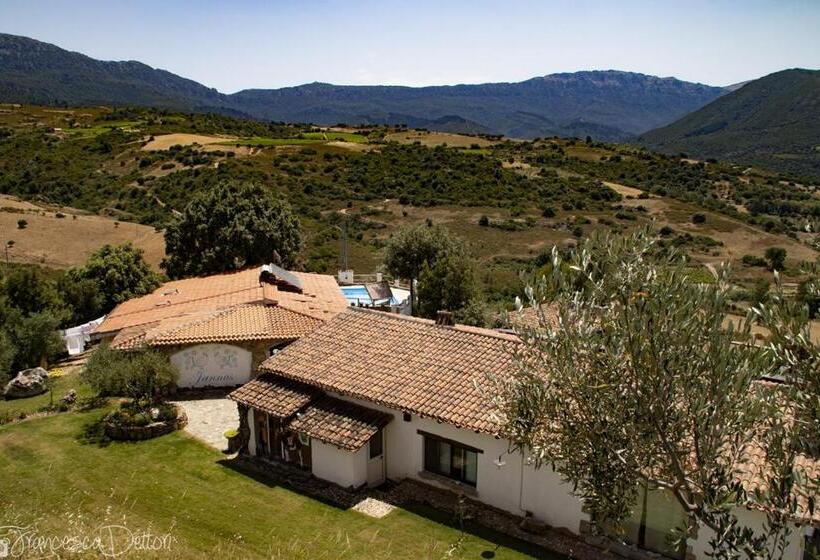 ベッドアンドブレックファースト Affittcamere Jannas