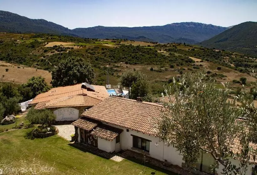 ベッドアンドブレックファースト Affittcamere Jannas