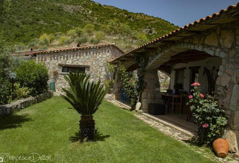 ベッドアンドブレックファースト Affittcamere Jannas