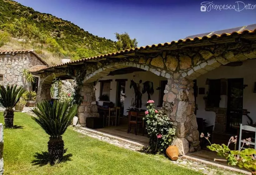 ベッドアンドブレックファースト Affittcamere Jannas