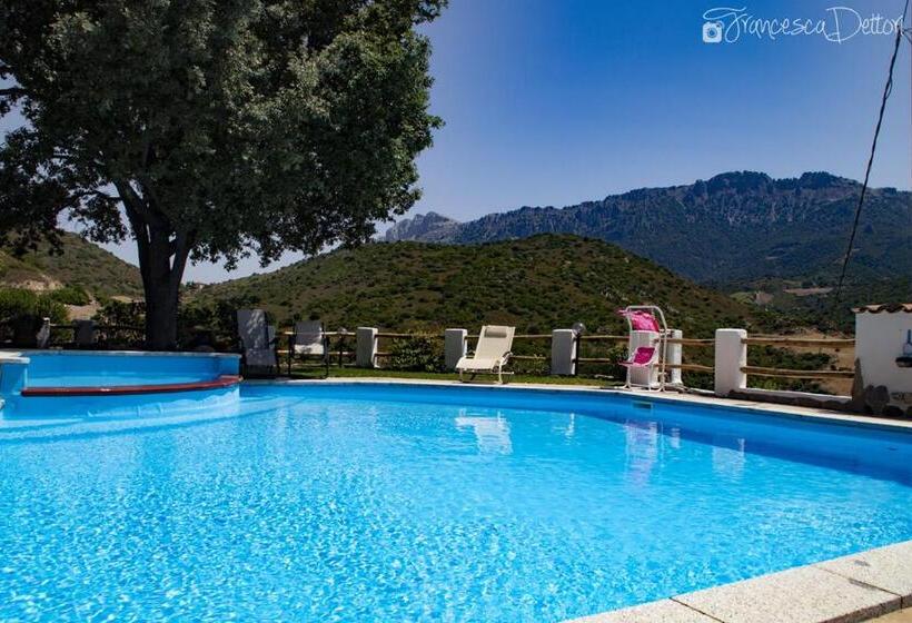 ベッドアンドブレックファースト Affittcamere Jannas