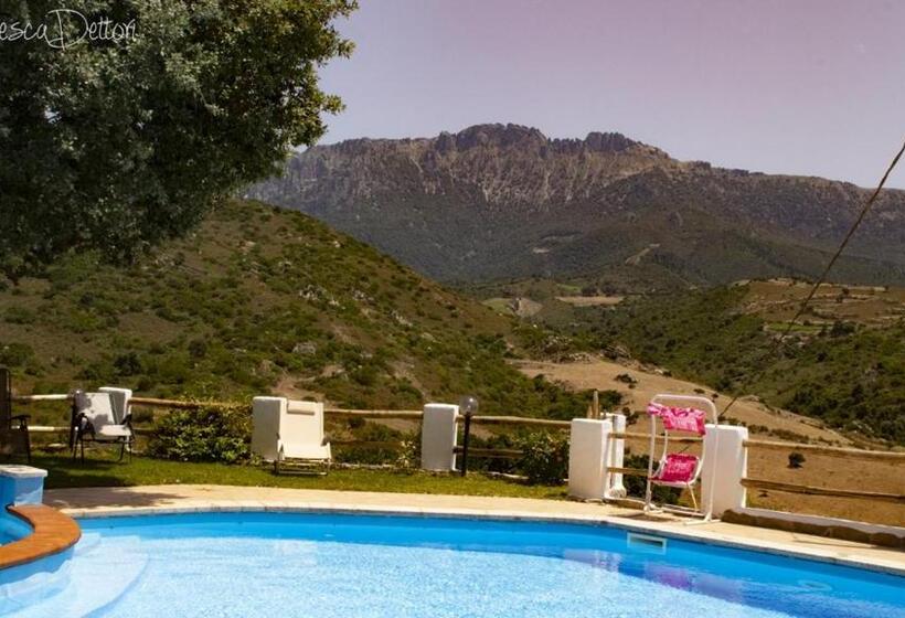 ベッドアンドブレックファースト Affittcamere Jannas