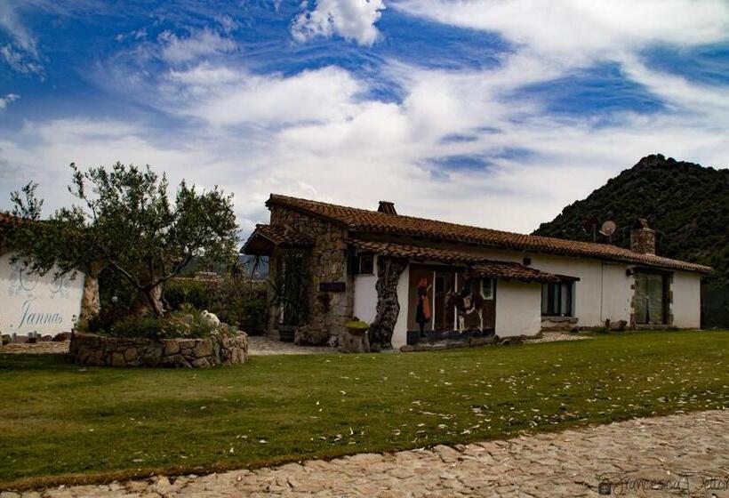 ベッドアンドブレックファースト Affittcamere Jannas