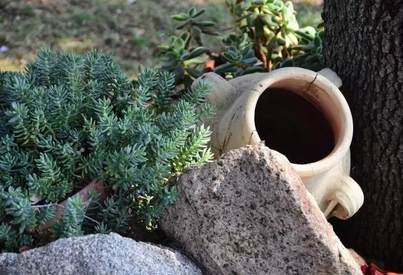 ベッドアンドブレックファースト Affittcamere Jannas