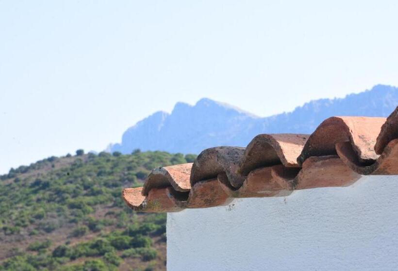 ベッドアンドブレックファースト Affittcamere Jannas