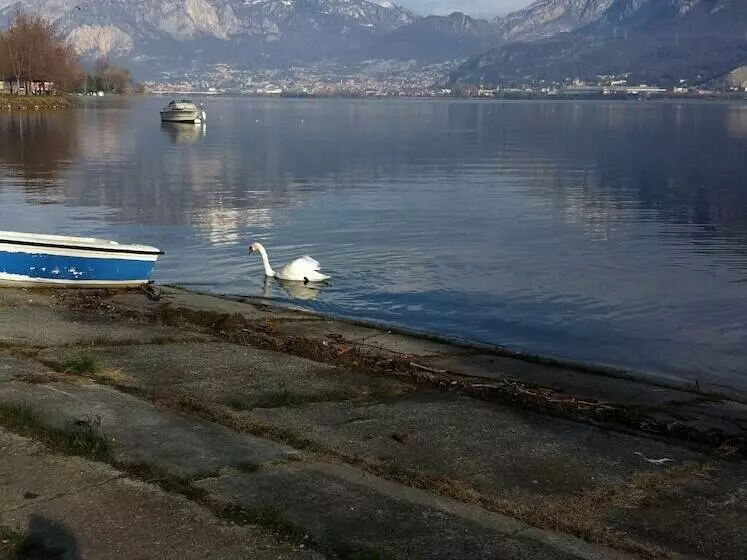 Bed & Breakfast Ai Due Vecchi Ulivi