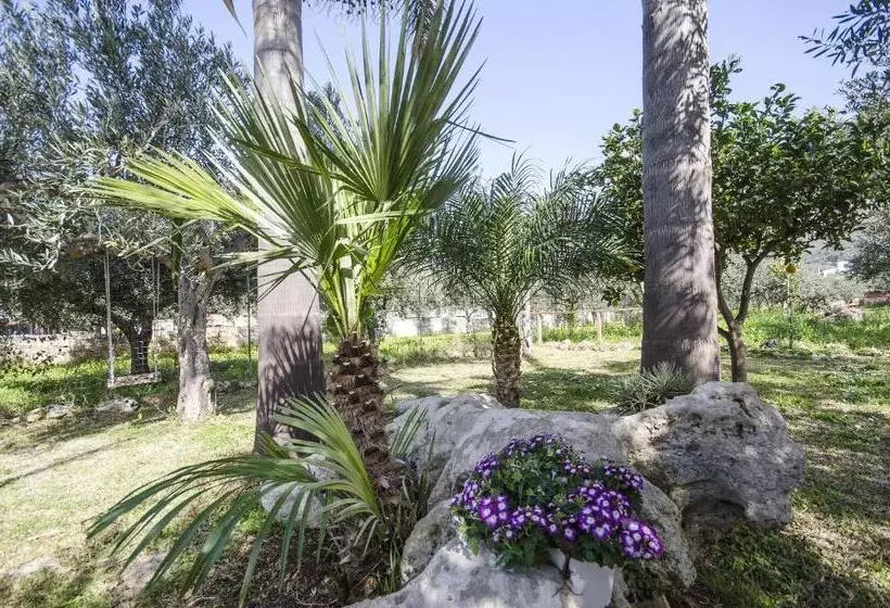 ベッドアンドブレックファースト Cascina Degli Ulivi