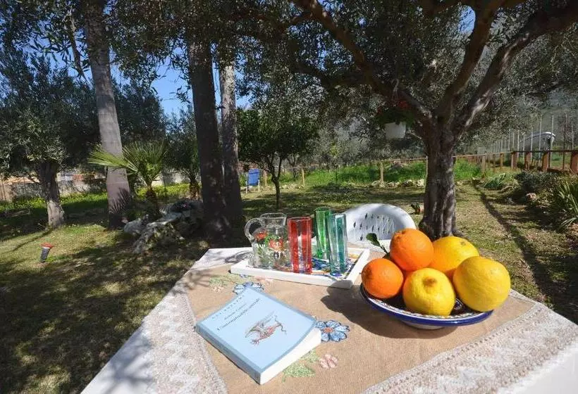 ベッドアンドブレックファースト Cascina Degli Ulivi