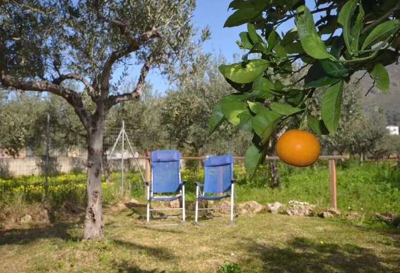 ベッドアンドブレックファースト Cascina Degli Ulivi