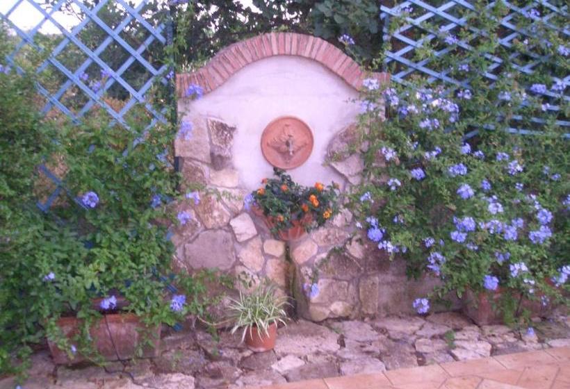 تختخواب و صبحانه Il Glicine Di Carmen