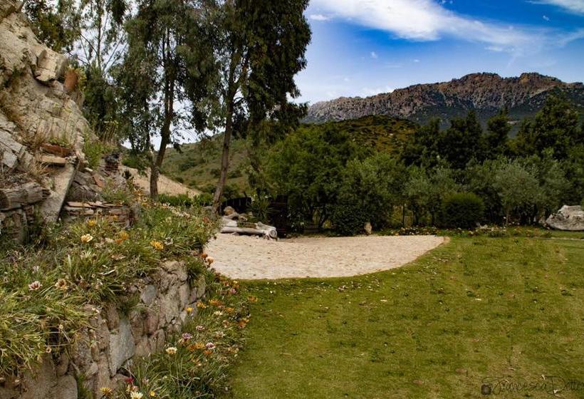 ベッドアンドブレックファースト Affittcamere Jannas