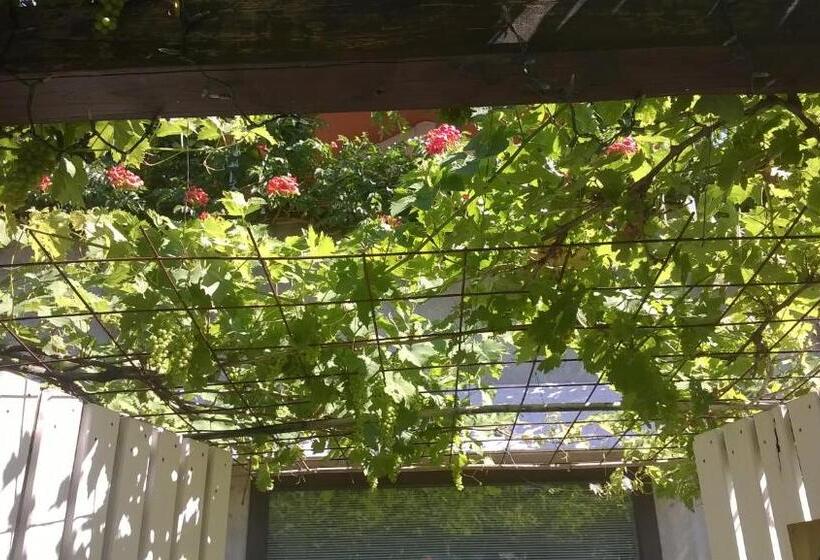 مبيت وإفطار La Locandina