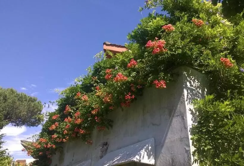 Aamiaismajoitus (B&B) La Locandina