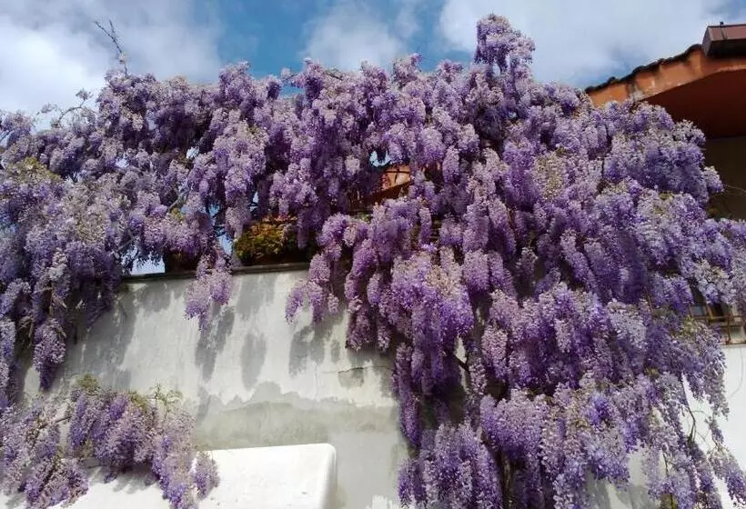 Aamiaismajoitus (B&B) La Locandina