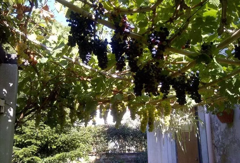 Aamiaismajoitus (B&B) La Locandina