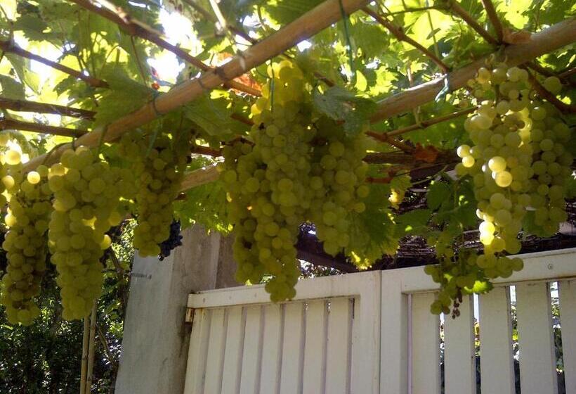 مبيت وإفطار La Locandina