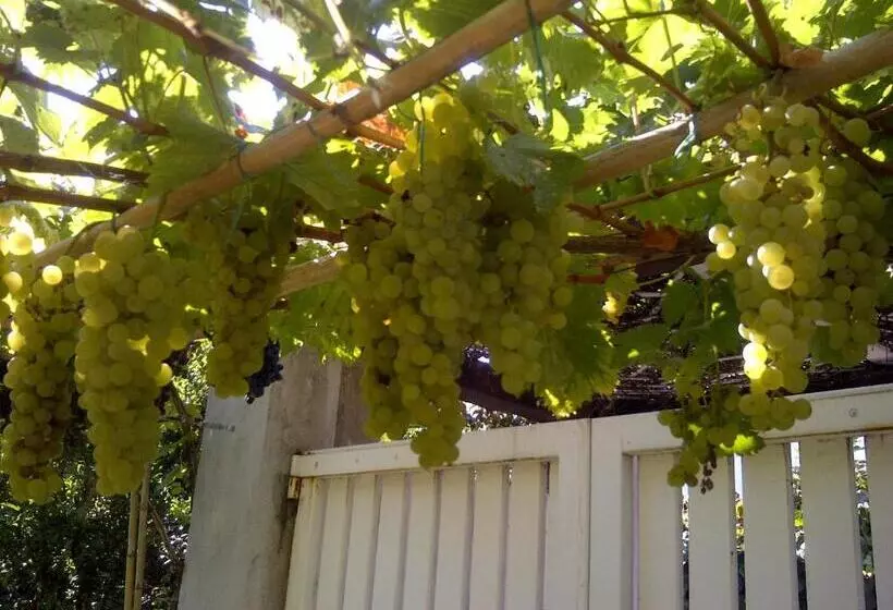 Aamiaismajoitus (B&B) La Locandina