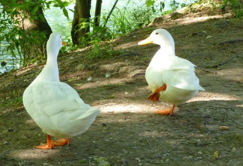 تختخواب و صبحانه Le Camere Di Virgilio