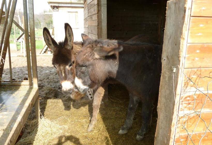 تختخواب و صبحانه Le Camere Di Virgilio