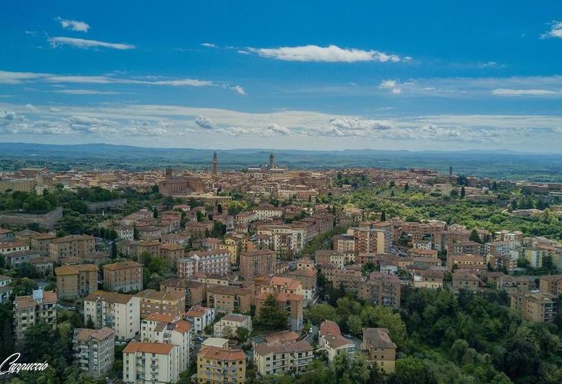 تختخواب و صبحانه Villa Zara