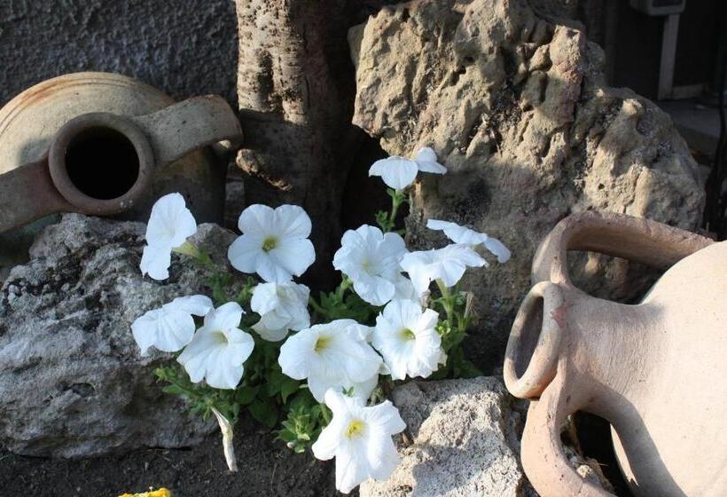 Bed & Breakfast Casa Di Mari