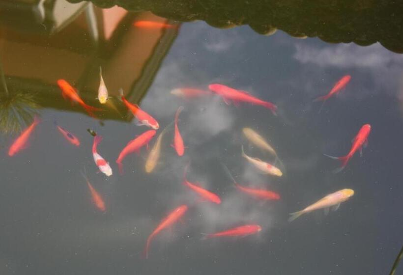 Bed & Breakfast Casa Di Mari