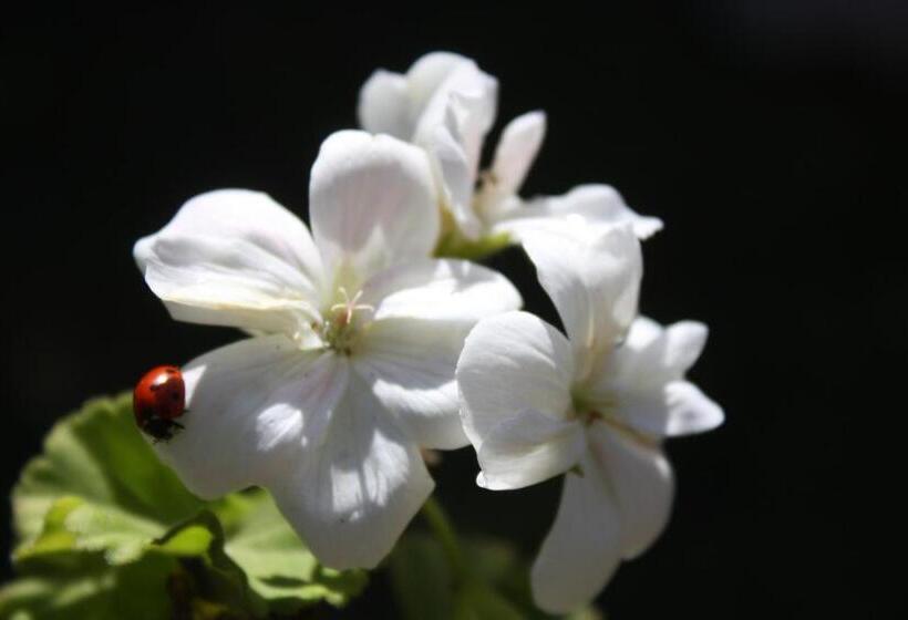 Bed & Breakfast Casa Di Mari