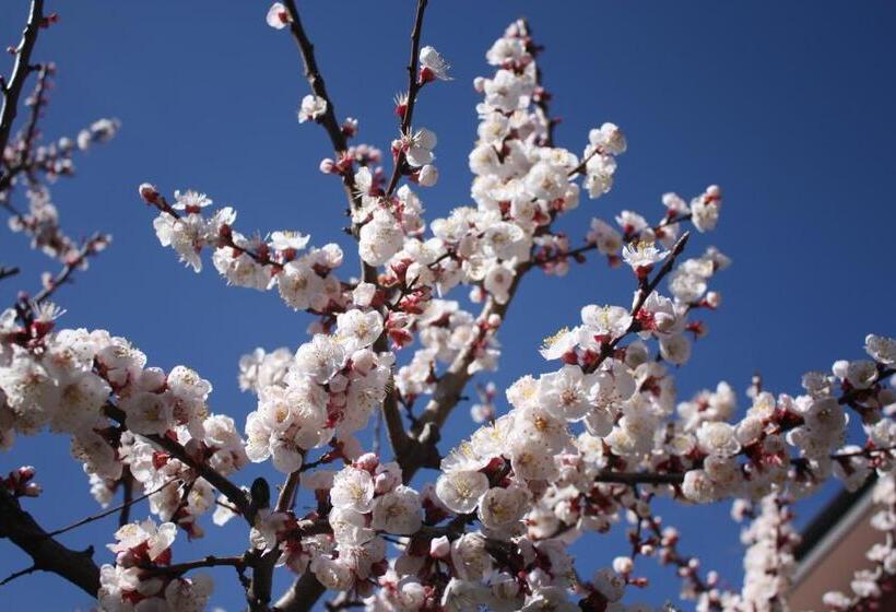 Bed & Breakfast Casa Di Mari