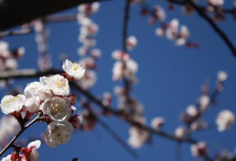 Bed & Breakfast Casa Di Mari