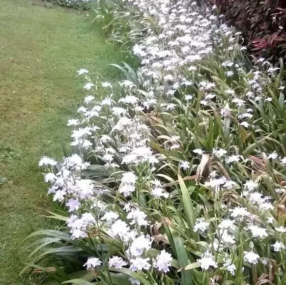 ベッドアンドブレックファースト Le Tre Grazie