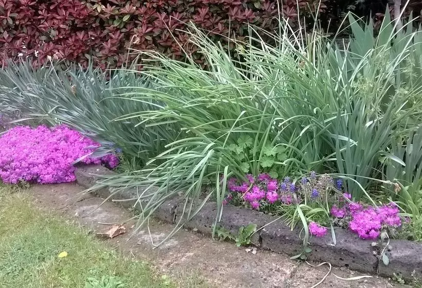 ベッドアンドブレックファースト Le Tre Grazie