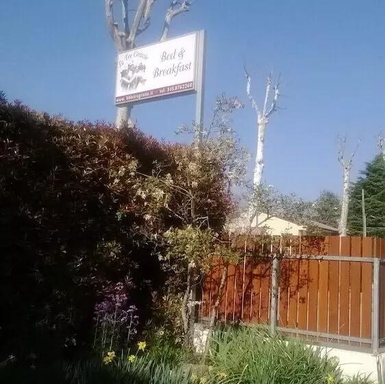 ベッドアンドブレックファースト Le Tre Grazie