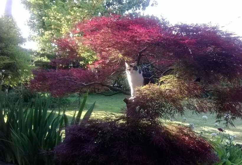 Bed and Breakfast Le Tre Grazie