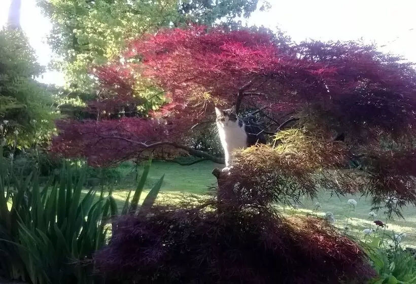 ベッドアンドブレックファースト Le Tre Grazie