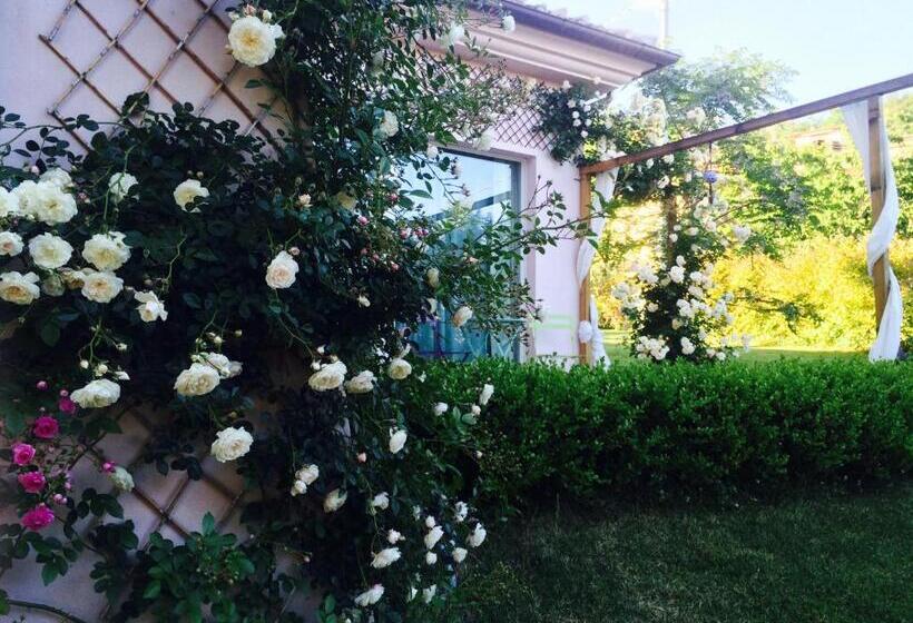 住宿加早餐 Altrocanto