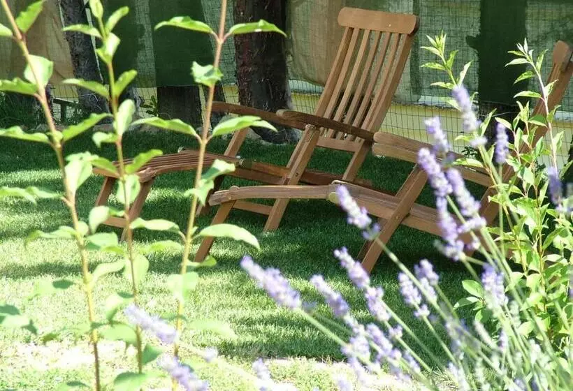 ベッドアンドブレックファースト Altrocanto