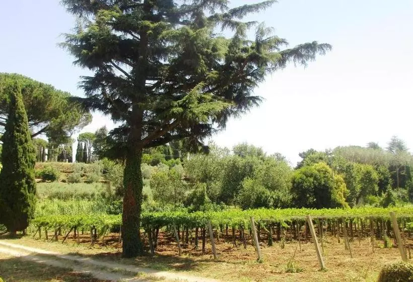 Aamiaismajoitus (B&B) Antico Casale Fabrizi