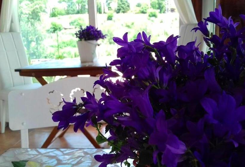 Bed and Breakfast Antico Casale Fabrizi