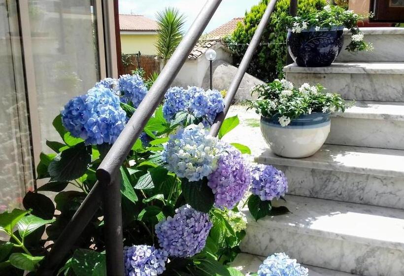 Bed and Breakfast Antico Casale Fabrizi