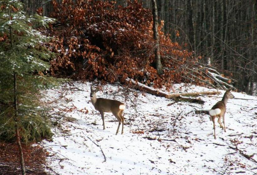 민박 Casa Benassi ,room&suite , Con Zona Benessere