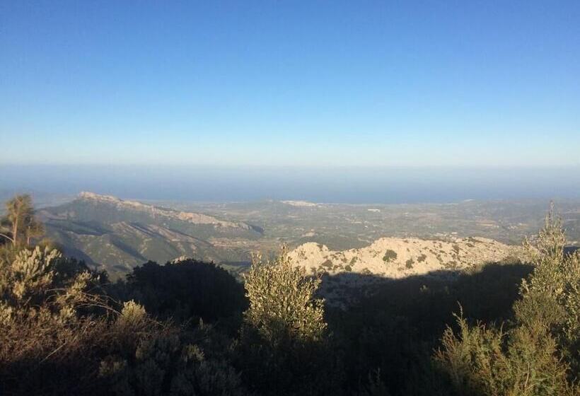 Bed and Breakfast Il Canarino Affittacamere