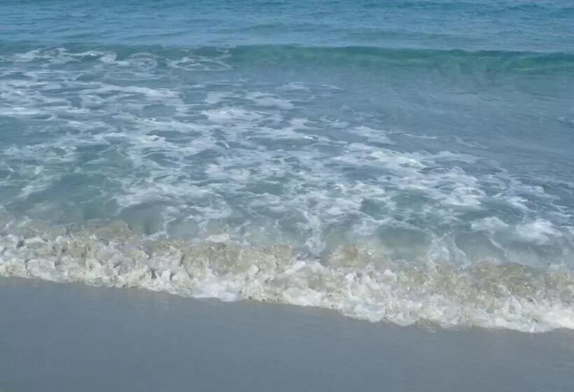 Aamiaismajoitus (B&B) Il Canarino Affittacamere