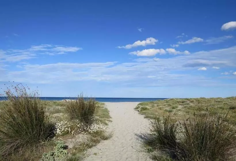 Aamiaismajoitus (B&B) Il Canarino Affittacamere