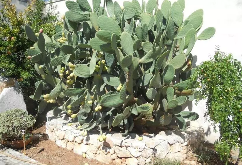 Aamiaismajoitus (B&B) Le Schiavelle